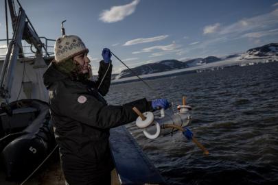 Bilim insanları Arktik'te ölçümler gerçekleştirdi