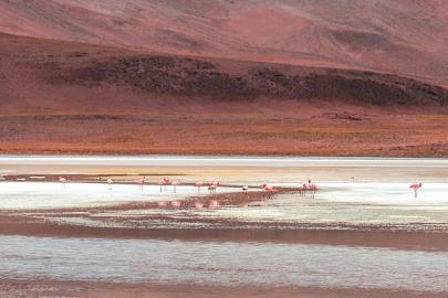 Görünümleri ve özellikleri ile büyülüyorlar: Dünyanın en tuhaf 8 gölü