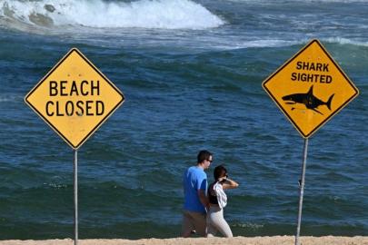 Avustralya’da ölümcül köpek balığı saldırısı: Sydney sahilleri kapatıldı