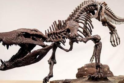 Dinozorlarla Beslenen Dev Timsah Fosili Patagonya’da Keşfedildi