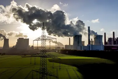 İsveç ve Finlandiya Orman Biyoenerjisini Korumak İçin AB’ye Çağrı Yaptı