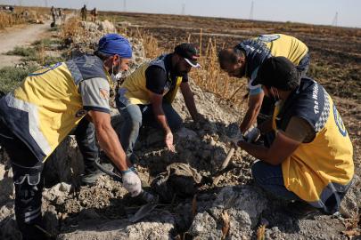Şam yakınlarında toplu mezar bulundu: 25 ceset çıkarıldı, en az 175 kişinin gömülü olduğu tahmin ediliyor
