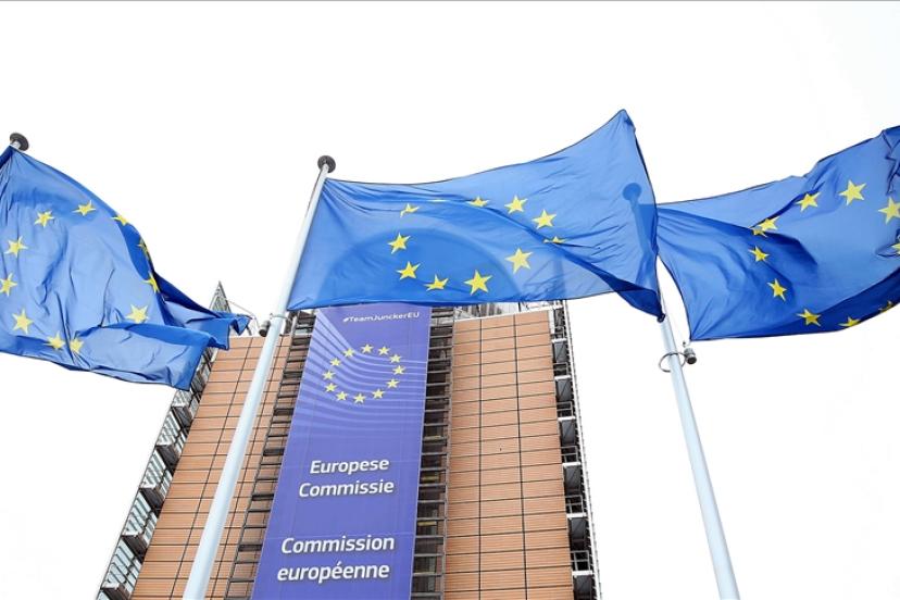 AB, üye ülkelerde demokrasileri ve sivil toplumları güçlendirmeyi hedefliyor