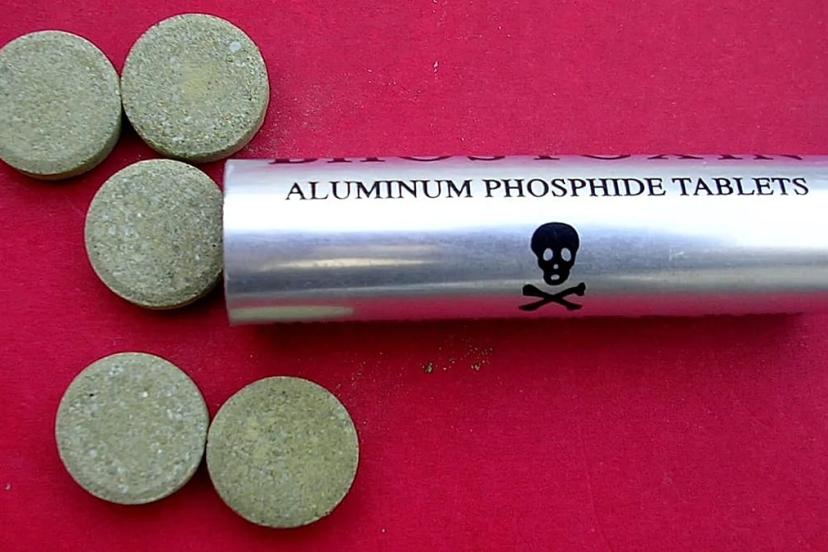 Böcek ailesinin kaldığı otelin sahibi ve çalışanı tutuklandı