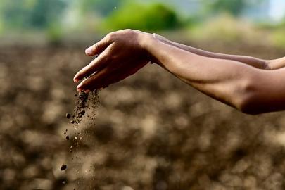 Toprak, iklim krizinin çözümünde kilit rol oynuyor