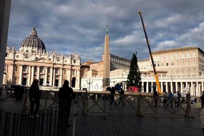 Vatikan, Aziz Petrus Meydanı'nda 27 metrelik Norveç ladinini karşıladı