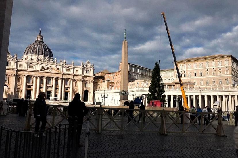 Vatikan, Aziz Petrus Meydanı'nda 27 metrelik Norveç ladinini karşıladı