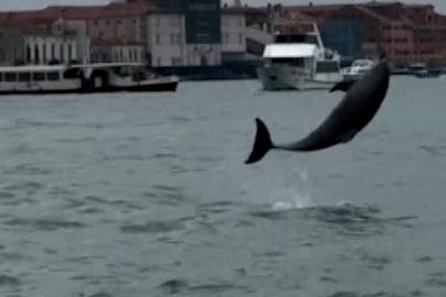 Yunus Mimmo Venedik’i büyülüyor: Uzmanlar ciddi risklere karşı uyarıyor