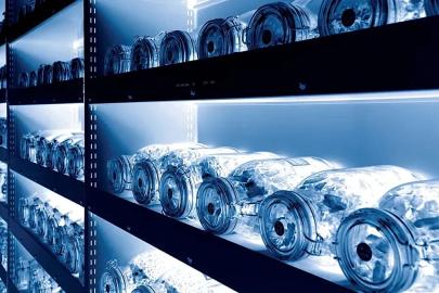 Bilim insanları dünyanın en büyük 'kıyamet kasasını' açtı: Bitki tohumları sahaya çıkıyor