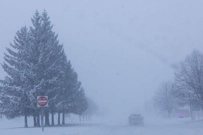 Isınan Arktik, ABD'yi ve Doğu Avrupa'yı dondurucu soğuğa itiyor