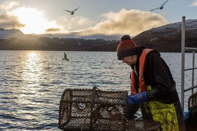 İskoçya denizlerinin üçte birinden fazlası korumada: Trol avı neden hâlâ serbest
