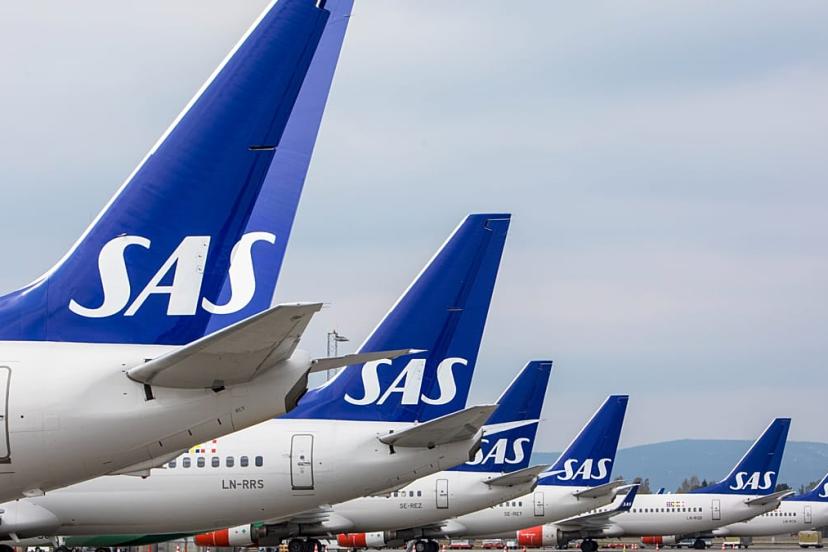 SAS CEO'su: Yapay zeka aksaklıklara müdahaleyi hızlandırabilir